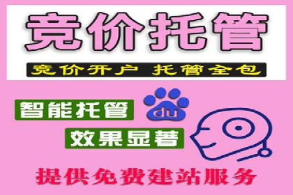 推广竞价中的关键词选择与优化——案例分析